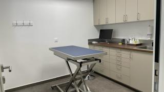 Vétérinaire Clinique Vétérinaire du Grand Paris - Créteil - Maisons Alfort - Médecine générale - Kinésithérapie & hydrothérapie - NAC 0