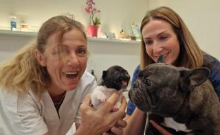 Vétérinaire clinique vétérinaire Pollicardo 0