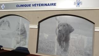 Vétérinaire Clinique vétérinaire Univet La Roquette 0