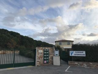 Vétérinaire Schneider Pascale 0