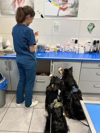 Vétérinaire Clinique vétérinaire Drs. Muller et Klein 0