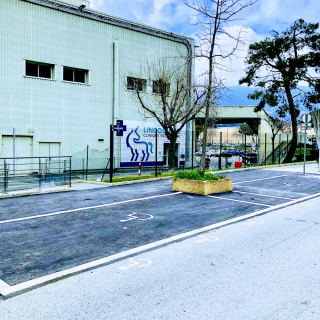 Vétérinaire Lingostière Clinique Vétérinaire 1