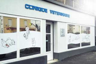 Vétérinaire Clinique Vétérinaire IASOVET 0