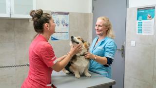 Vétérinaire Clinique Vétérinaire Argos Ventabren 0