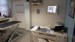 Vétérinaire Clinique Vétérinaire de la Régence Du Dr. LHARDY 1