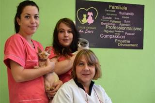 Vétérinaire Clinique Vétérinaire du parc 0