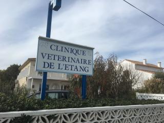 Vétérinaire Grandjean Christophe 0