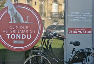 Vétérinaire Clinique Vétérinaire du Tondu 0