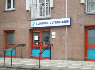 Vétérinaire Clinique Vétérinaire Gambetta 0