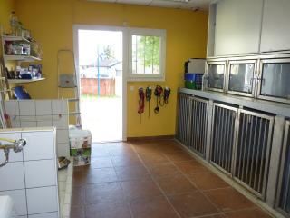 Vétérinaire Cabinet Vétérinaire du Platane 0