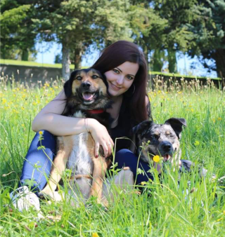 Vétérinaire Cabinet Vétérinaire du Platane 0