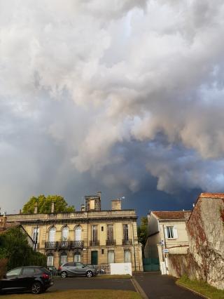 Vétérinaire Clinique Vétérinaire du Tondu 0