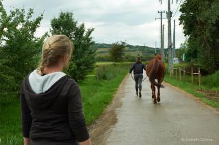 Vétérinaire Vet'Eq, vétérinaires équins à domicile 2