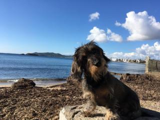 Vétérinaire Clinique Vétérinaire AniCura Paris III 2