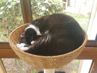 Vétérinaire Clinique vétérinaire de Jolimont 1