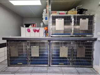 Vétérinaire Cabinet vétérinaire des Deux Rives 0