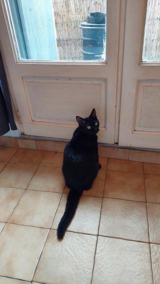 Vétérinaire Clinique Vétérinaire des Tonnelles - Dr Marié 0