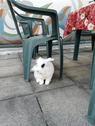 Vétérinaire Clinique Vétérinaire De Neudorf 0