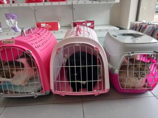 Vétérinaire Clinique Vétérinaire de la Montagne Verte 0