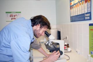 Vétérinaire Clinique Vétérinaire Gambetta 0