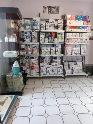 Vétérinaire Clinique Vétérinaire 4 Pattes VET 0