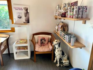 Vétérinaire Clinique Des Embruns 0