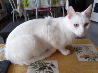 Vétérinaire Mon Véto Roquevaire 0