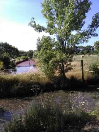 Vétérinaire Clinique Vétérinaire des Pêcheurs d'Islande 0