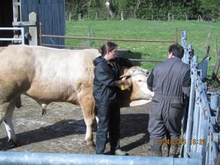Vétérinaire Dr Pépin Maudéléonore vétérinaire pratiquant l'ostéopathie 0