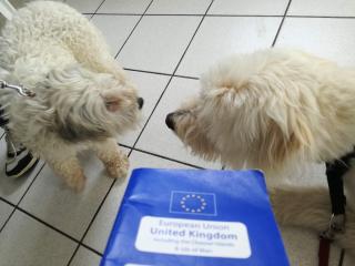 Vétérinaire Cabinet Vétérinaire Penin Didier 2