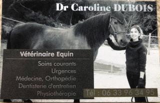 Vétérinaire Hipp'Occitan cabinet vétérinaire équin - Dr Caroline Dubois 0