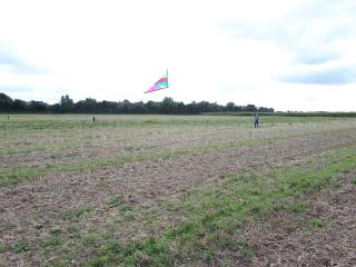 Vétérinaire Clinique Equine de la Madelaine 1