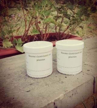 Vétérinaire Ma'Veto - Docteure Marion Boidot - Vétérinaire Equin 0