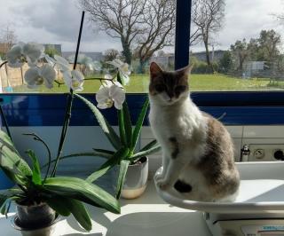 Vétérinaire Docteur Isabelle FAYOUX 1