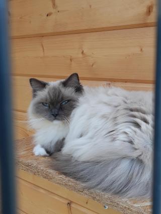 Vétérinaire Au Petit Eden 1