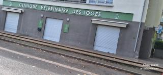 Vétérinaire Clinique vétérinaire des Loges - Dr TAILLIEU 2
