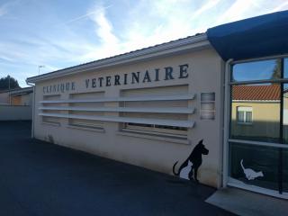 Vétérinaire Clinique Vétérinaire de L'Isle Espagnac 1