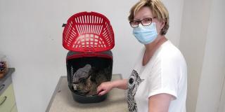 Vétérinaire Bishop-Lom-Couvreur Clinique vétérinaire des 3 chemins 0