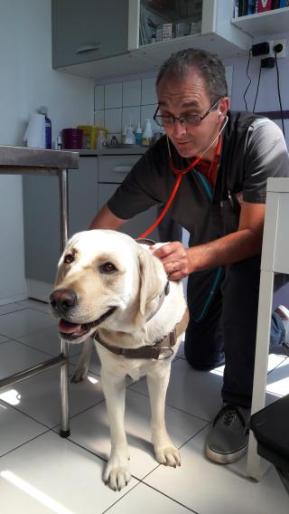 Vétérinaire Cabinet vétérinaire du Dr Vernet Christophe 2
