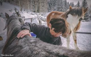 Vétérinaire Cabinet vétérinaire Univet Le Rhone 0