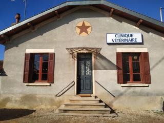 Vétérinaire Clinique Vétérinaire du Girou, Castelmaurou 1