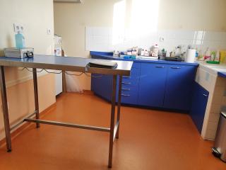 Vétérinaire Fauvel Clothilde 0