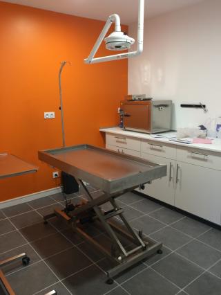 Vétérinaire Vétérinaire Caveirac (30820) - Cabinet des Pins du Dr Meunier 0