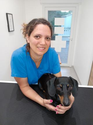 Vétérinaire Armonivet/Dr Laure Guinard: Acupuncture et Phytothérapie Vétérinaires 1