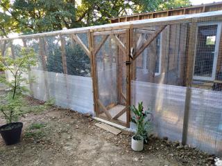 Vétérinaire Chat des Bois - Pension Féline 0