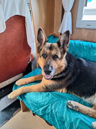 Vétérinaire Clinique de la Source 2