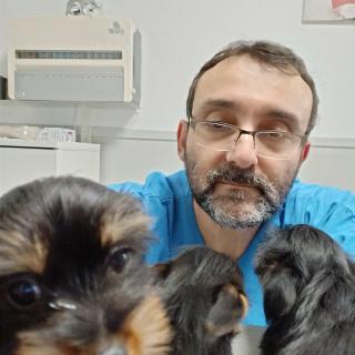 Vétérinaire Centre Vétèrinaire Médico-chirurgicale de soins et de prévention 0