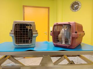 Vétérinaire Cabinet vétérinaire VET EST - Forbach 2