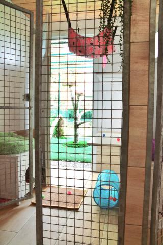 Vétérinaire Pension pour chats la Dame d'Haute-Savoie 0