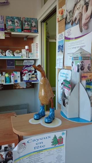 Vétérinaire Cabinet Vétérinaire Cayeux sur mer, LES GALETS 0